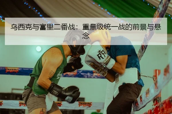 乌西克与富里二番战：重量级统一战的前景与悬念