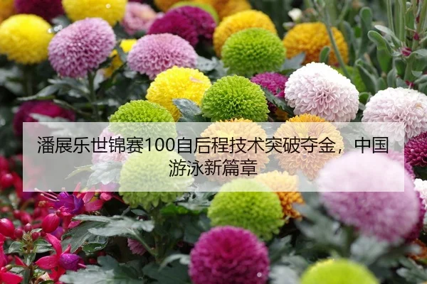 潘展乐世锦赛100自后程技术突破夺金，中国游泳新篇章