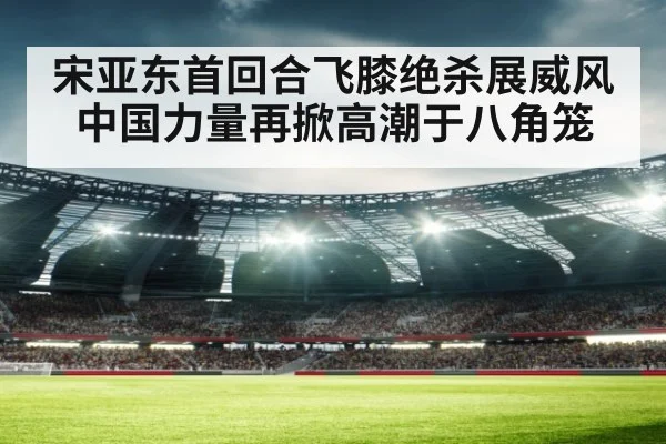 宋亚东首回合飞膝绝杀展威风 中国力量再掀高潮于八角笼